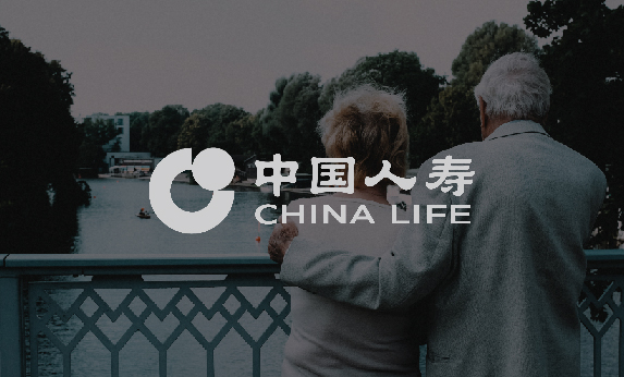 四川金融网站建设-中国人寿