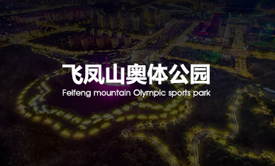 智慧公园-飞凤山奥体公园