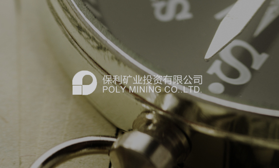 四川金融网站建设-保利矿业