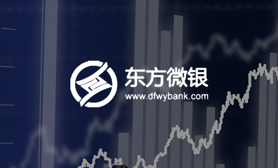 四川金融网站建设-东方微银