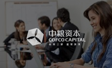 四川金融网站建设-中粮资本