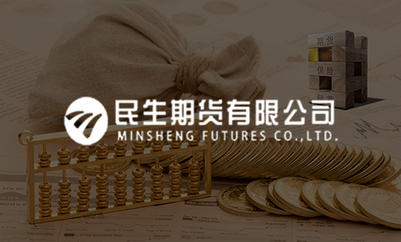 四川金融网站建设-民生期货