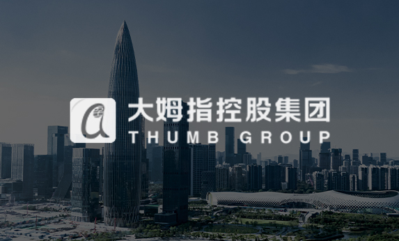 四川金融网站建设-大拇指控股